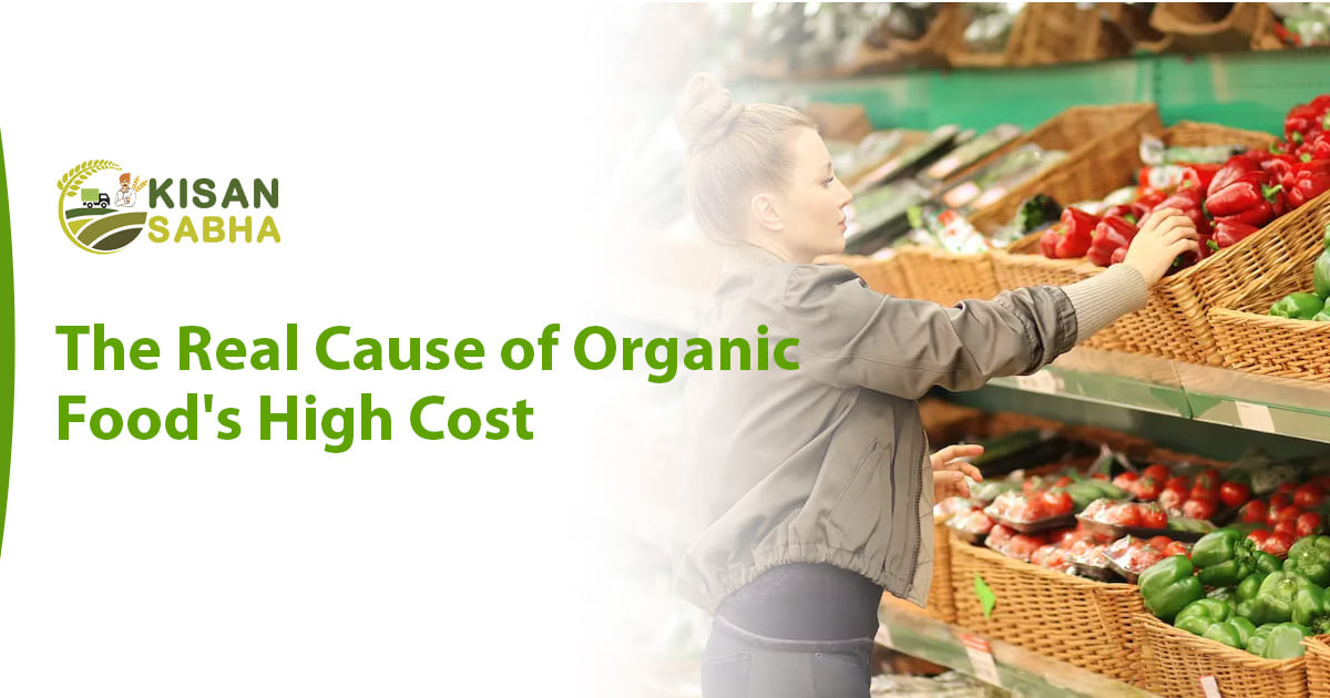 Read more about the article The Real Cause of Organic Food High Cost