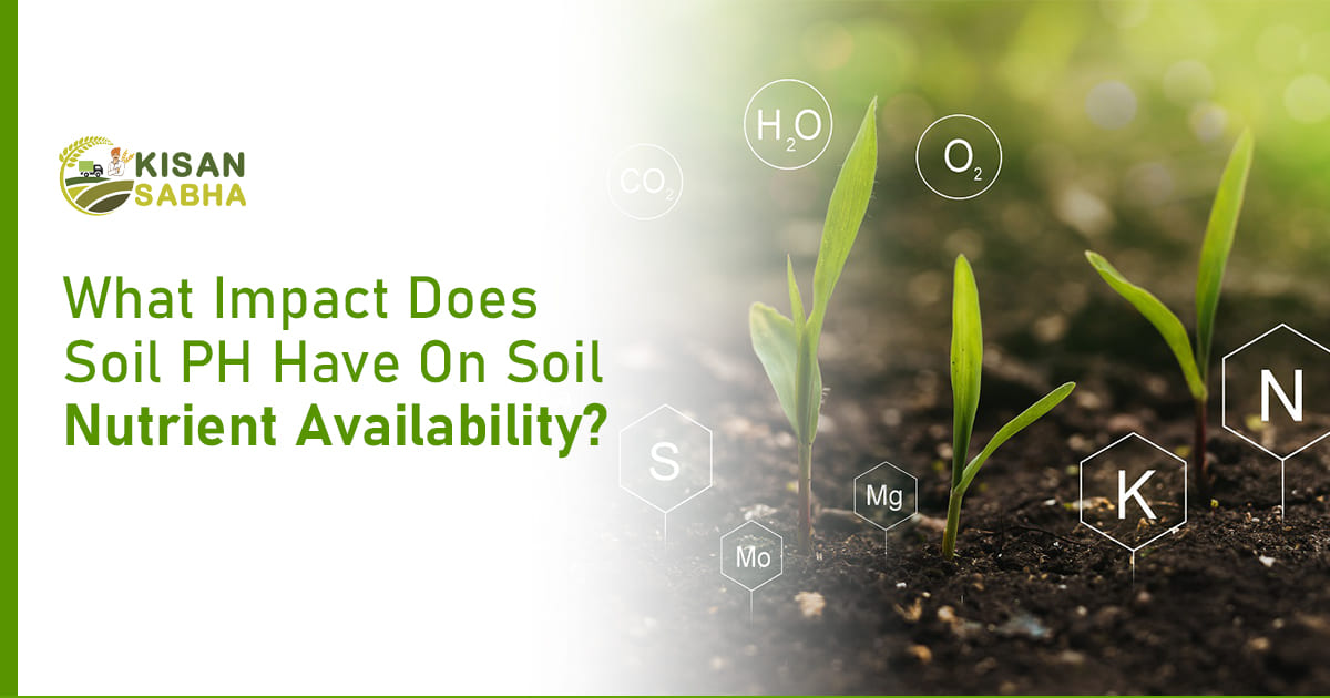 Read more about the article What Impact Does Soil PH Have On Soil Nutrient Availability?