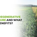 What is Regenerative Agriculture and What Are Its Benefits?