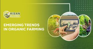Read more about the article Top Emerging Trends in Organic Farming for 2024