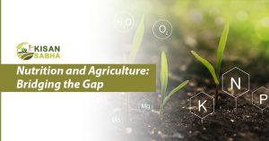 Read more about the article Nutrition and Agriculture: Bridging the Gap