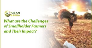 Read more about the article What are the Challenges of Smallholder Farmers and Their Impact?