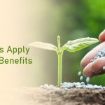 Why Do Farmers Apply Fertilizers? It’s Benefits