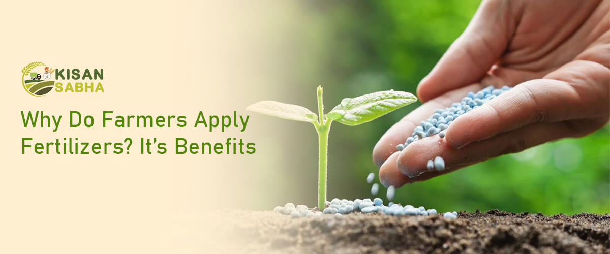 Read more about the article Why Do Farmers Apply Fertilizers? It’s Benefits