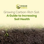 Growing Carbon-Rich Soil: A Guide to Increasing Soil Health