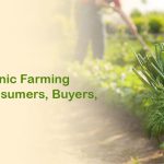 Benefits of Organic Farming for Farmers, Consumers, Buyers, and Traders