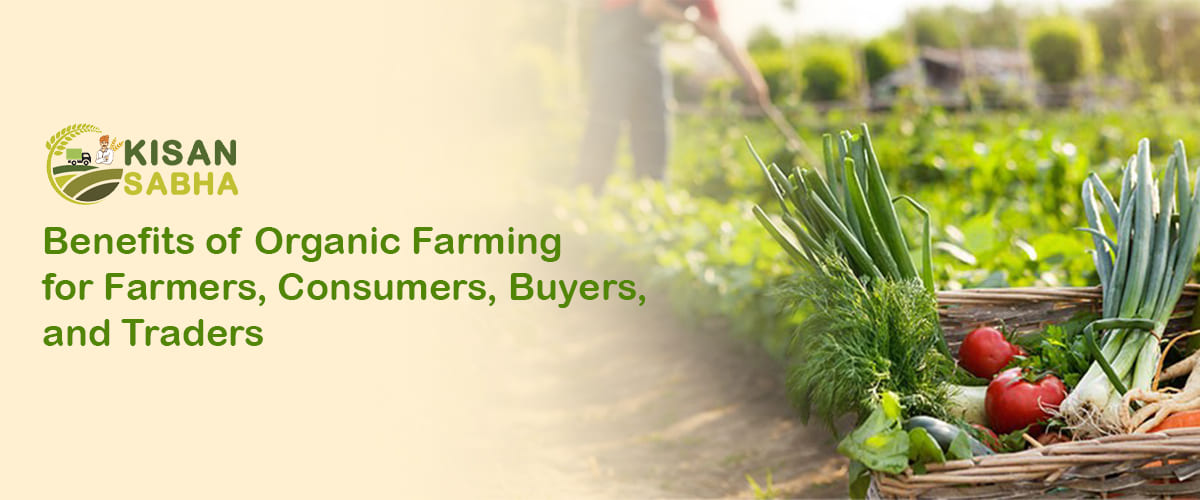 Read more about the article Benefits of Organic Farming for Farmers, Consumers, Buyers, and Traders