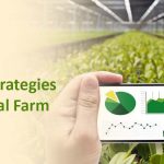 Cost-Saving Strategies for Commercial Farm