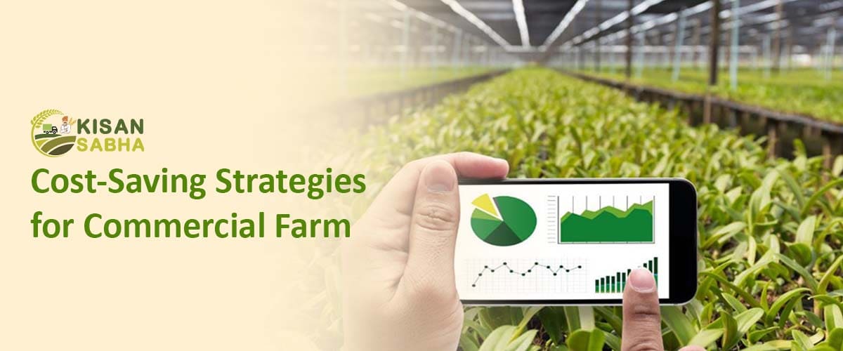 Read more about the article Cost-Saving Strategies for Commercial Farm