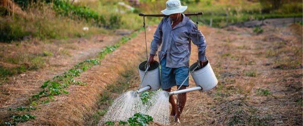 Intensive Farming Work