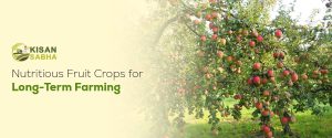 Read more about the article Nutritious Fruit Crops for Long-Term Farming