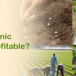 Why is Organic Farming Profitable?