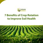 7 Benefits of Crop Rotation to Improve Soil Health