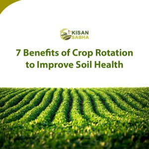 Read more about the article 7 Benefits of Crop Rotation to Improve Soil Health