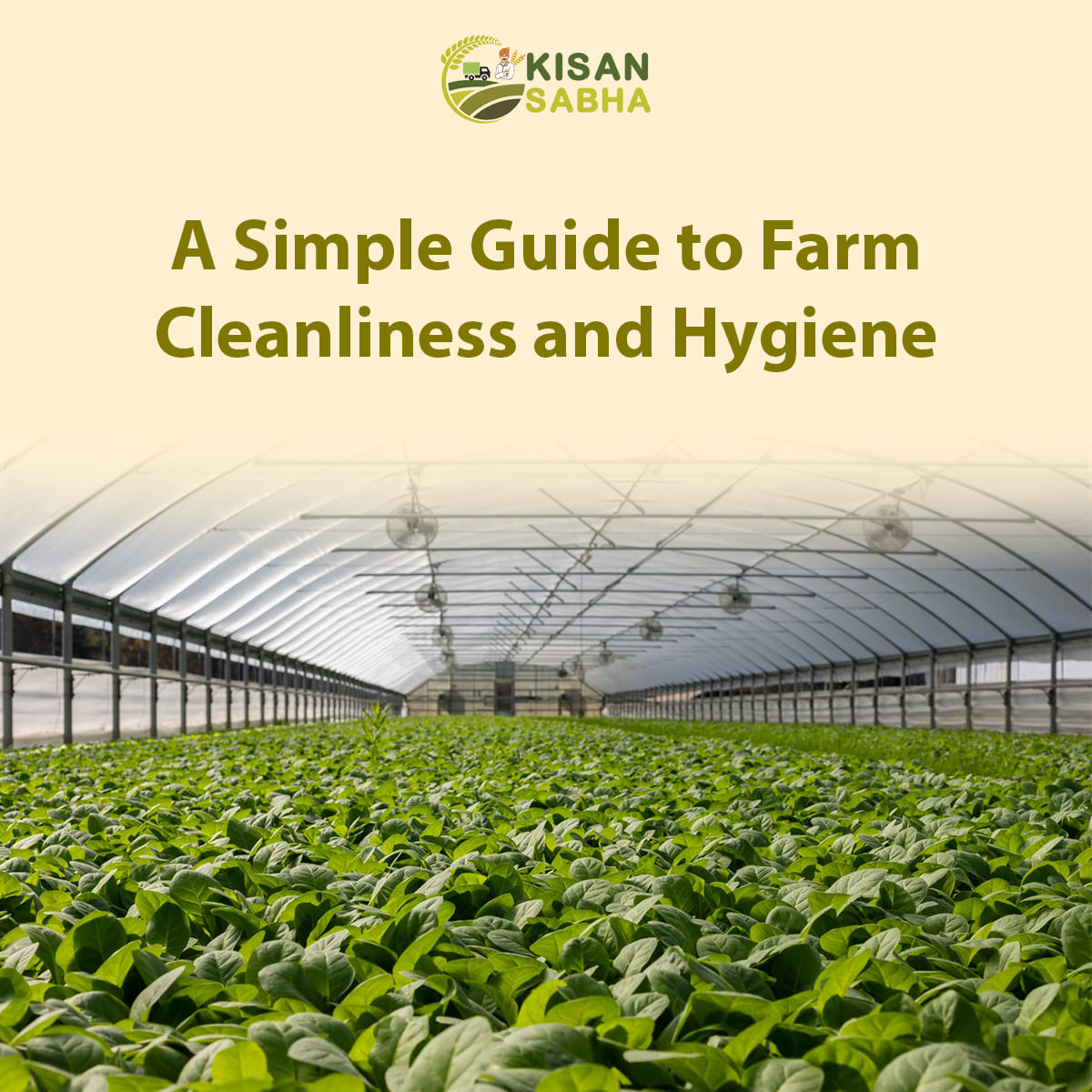 Read more about the article A Simple Guide to Farm Cleanliness and Hygiene