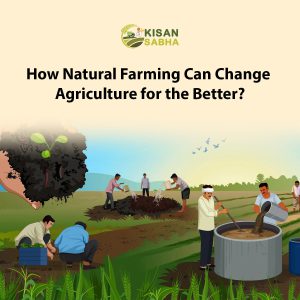 Read more about the article How Natural Farming Can Change Agriculture for the Better?