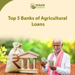 Top 5 Banks of Agricultural Loans