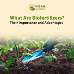 What Are Biofertilizers? Their Importance and Advantages