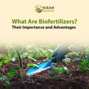 Read more about the article What Are Biofertilizers? Their Importance and Advantages