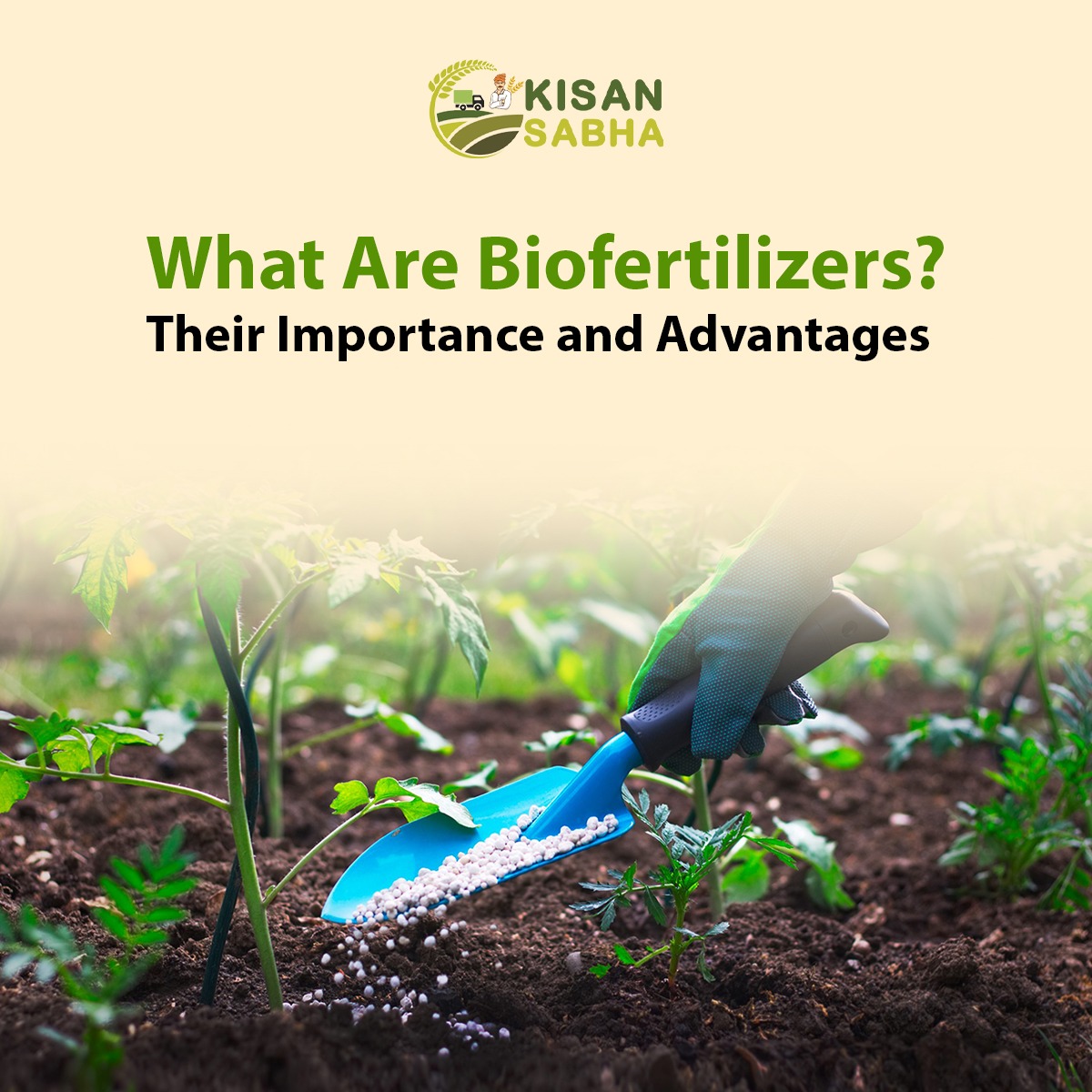 Biofertilizers