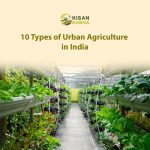 10 Types of Urban Agriculture in India