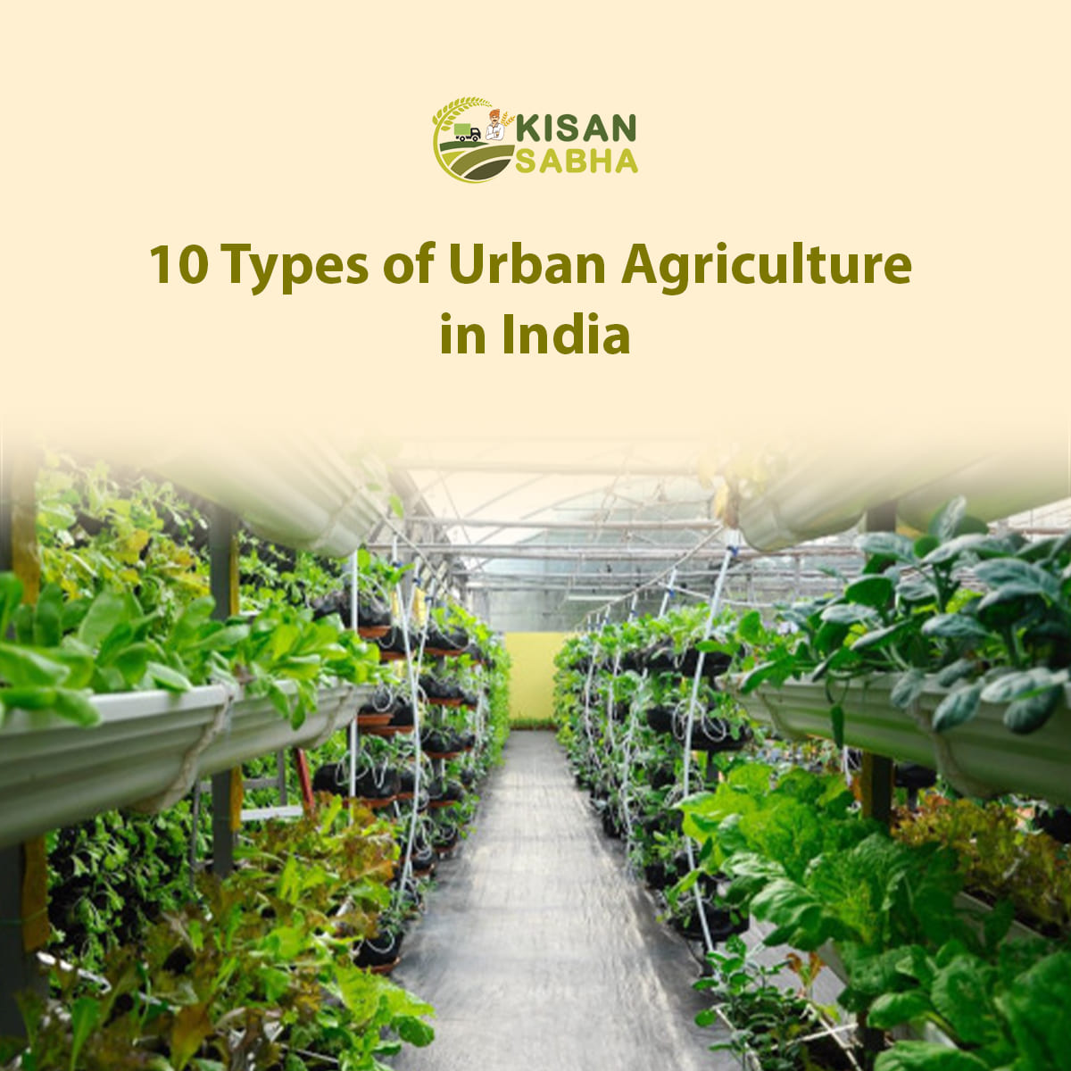 Read more about the article 10 Types of Urban Agriculture in India