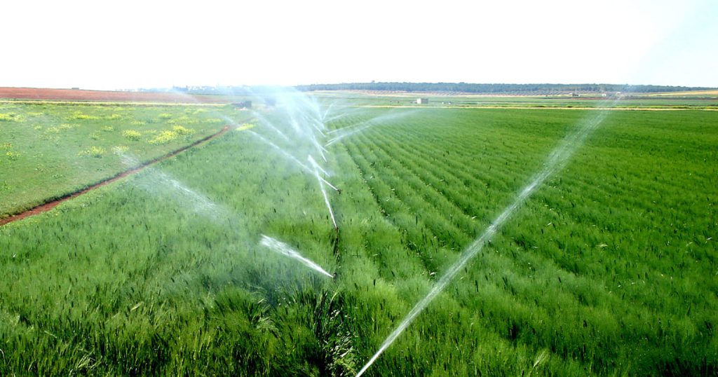 Different Ways Irrigation