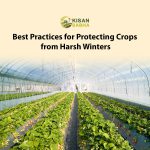 Best Practices for Protecting Crops from Harsh Winters