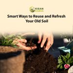 Smart Ways to Reuse and Refresh Your Old Soil