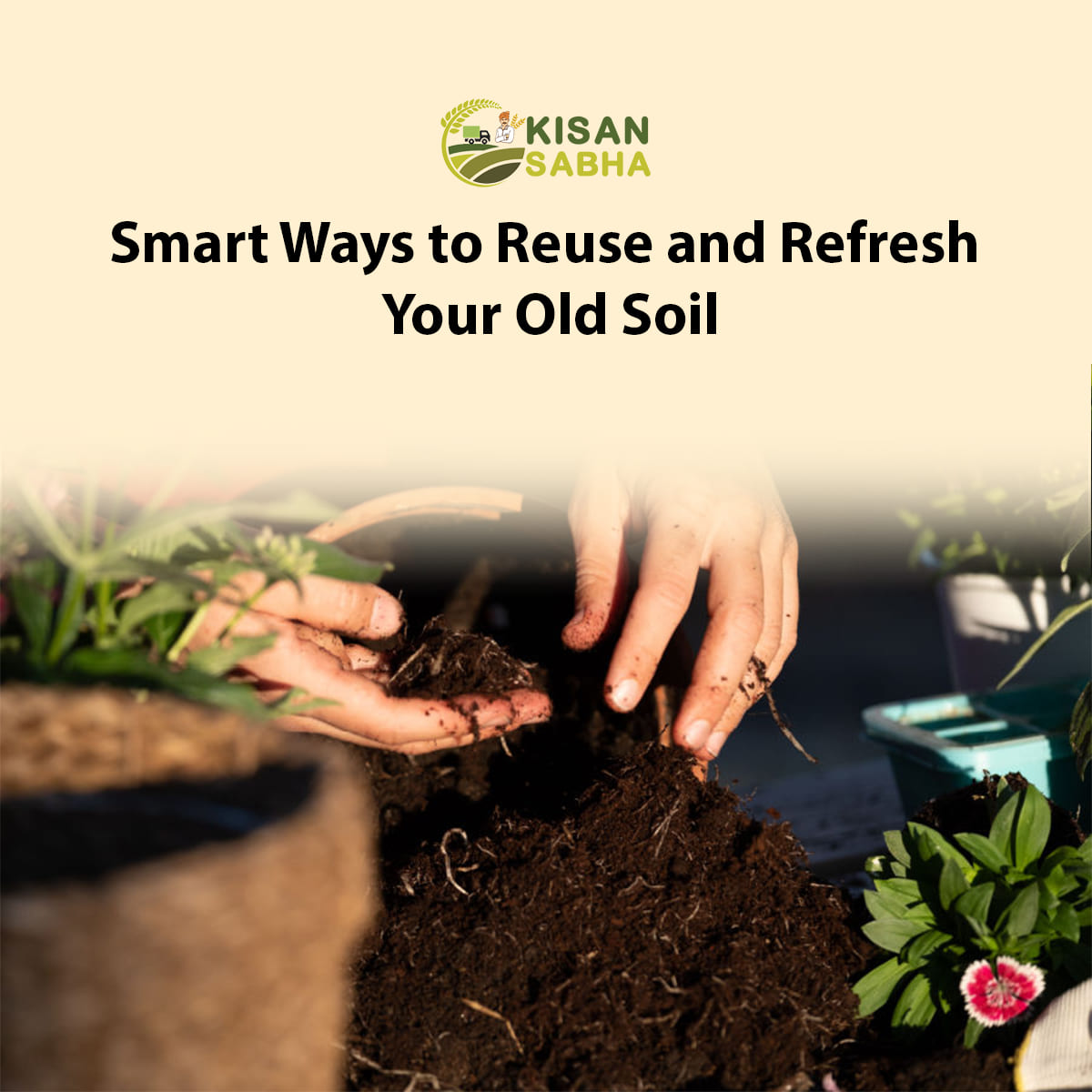 Read more about the article Smart Ways to Reuse and Refresh Your Old Soil