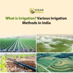 What is Irrigation? Various Irrigation Methods in India