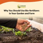 Why You Should Use Bio-fertilizers in Your Garden and Farm