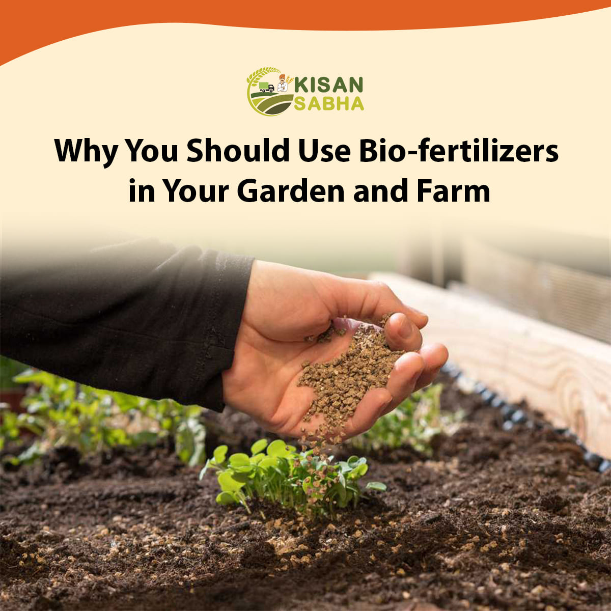 Read more about the article Why You Should Use Bio-fertilizers in Your Garden and Farm