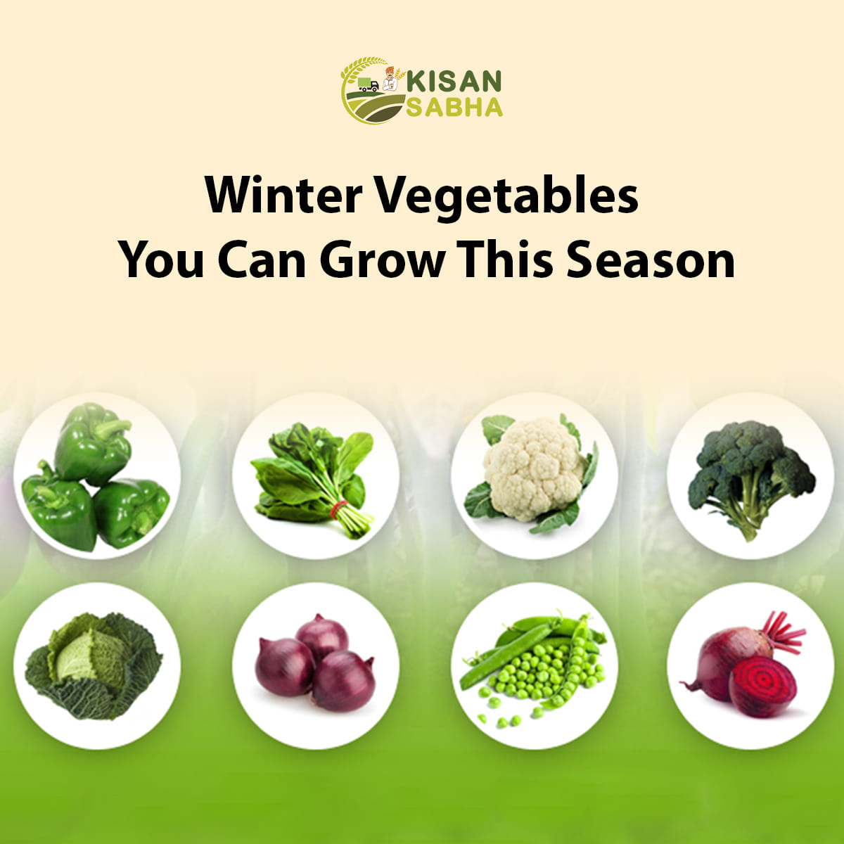 Winter Vegetables