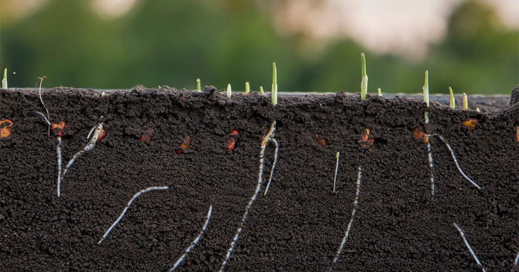 Carbon Farming