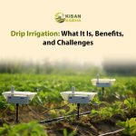 Drip Irrigation: What It Is, Benefits, and Challenges