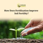 How Does Fertilization Improve Soil Fertility?