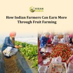 How Indian Farmers Can Earn More Through Fruit Farming