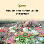 How can Post-Harvest Losses be Reduced?