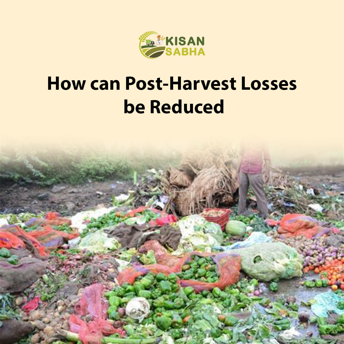 Post-Harvest Losses