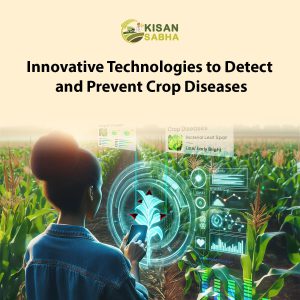 Read more about the article Innovative Technologies to Detect and Prevent Crop Diseases