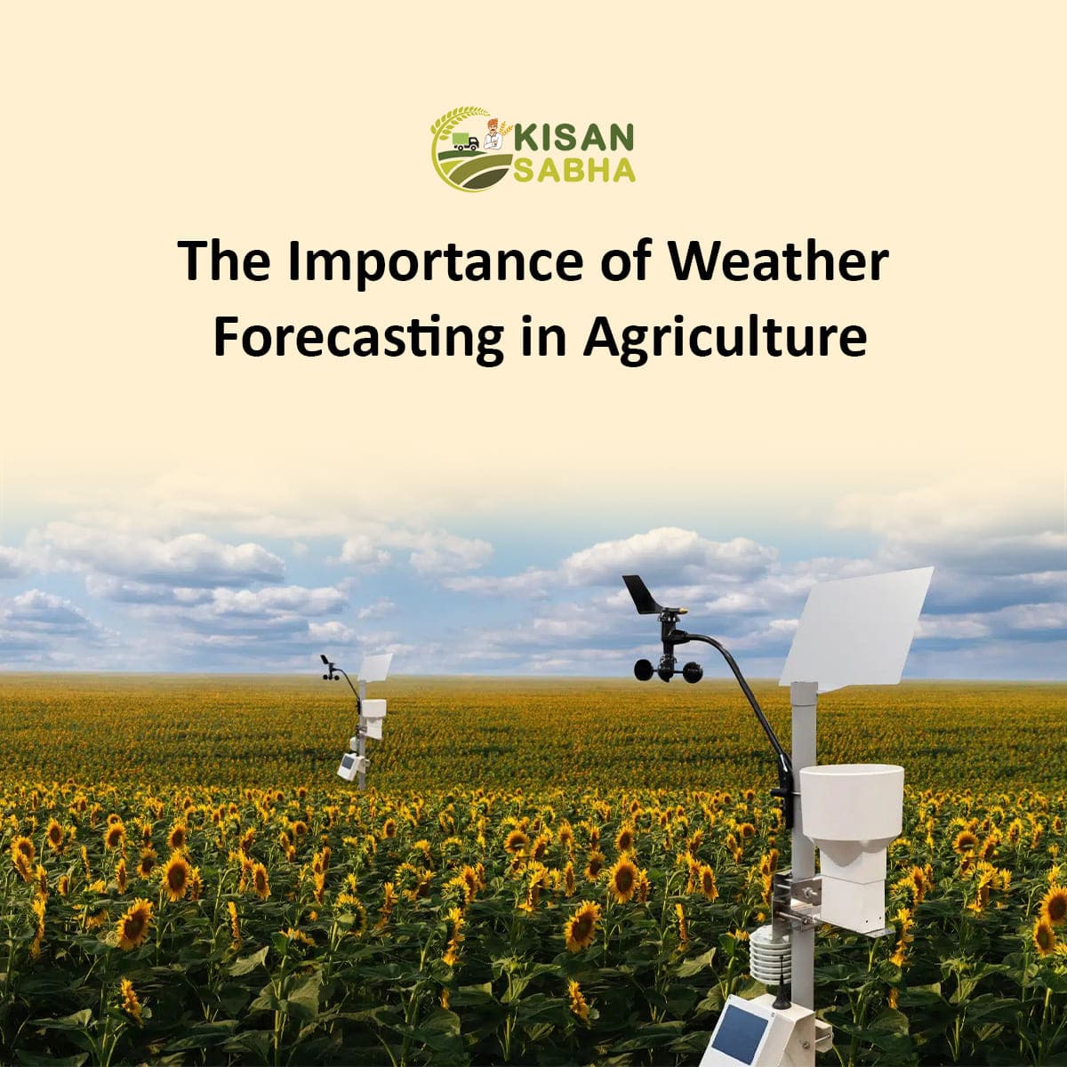 Weather Forecasting in Agriculture