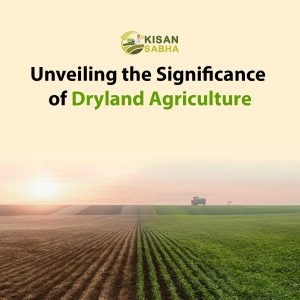 Read more about the article Unveiling the Significance of Dryland Agriculture