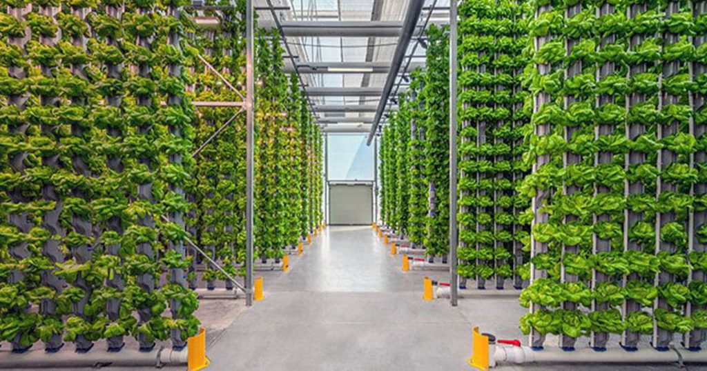 Vertical Farming