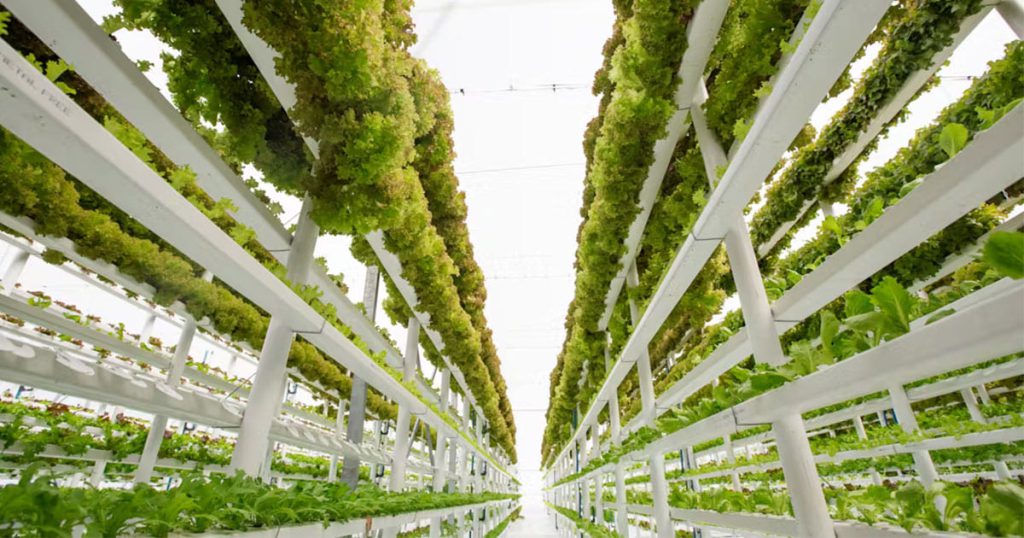 Benefits of Vertical Farming