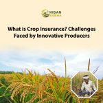 What is Crop Insurance? Challenges Faced by Innovative Producers