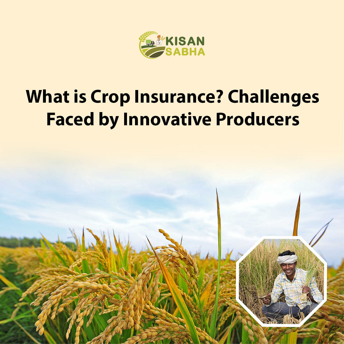 Read more about the article What is Crop Insurance? Challenges Faced by Innovative Producers