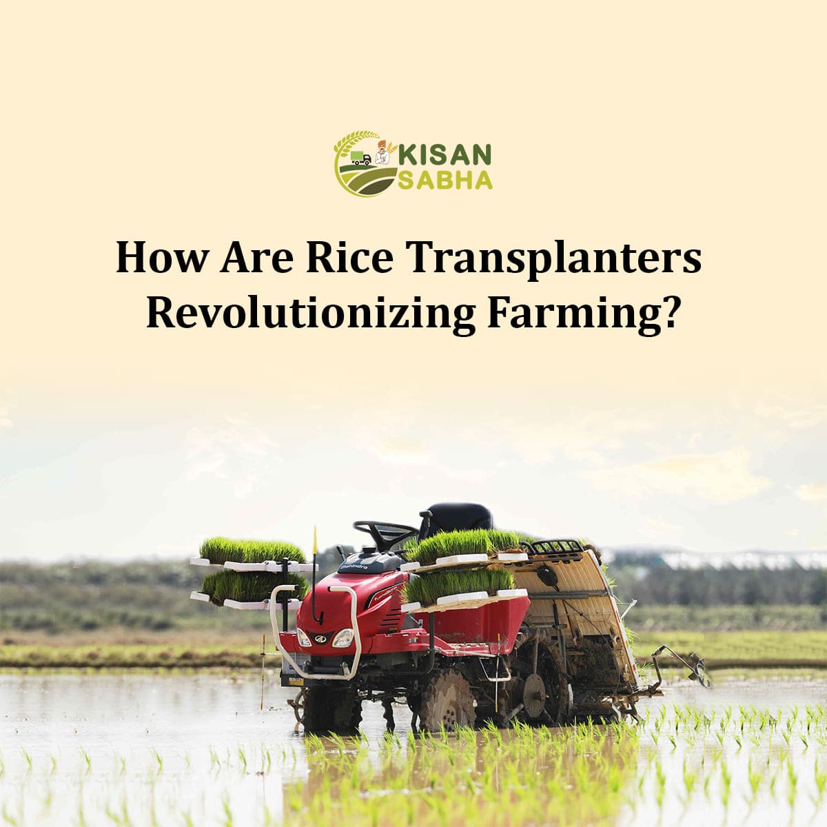 Rice Transplanters