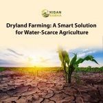 Dryland Farming: A Smart Solution for Water-Scarce Agriculture