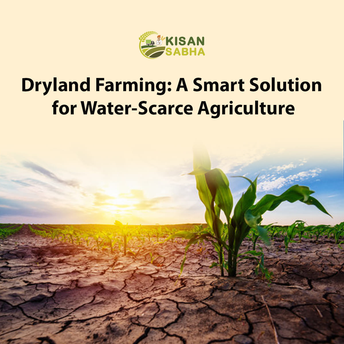 Read more about the article Dryland Farming: A Smart Solution for Water-Scarce Agriculture